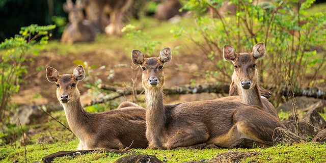 Visit vallee couleurs nature park (3)